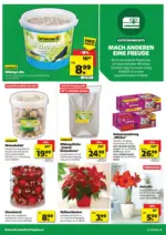 5 Täler Bauhandels GmbH hagebaumarkt: Flugblatt - bis 29.11.2025