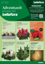 Bellaflora: Flugblatt