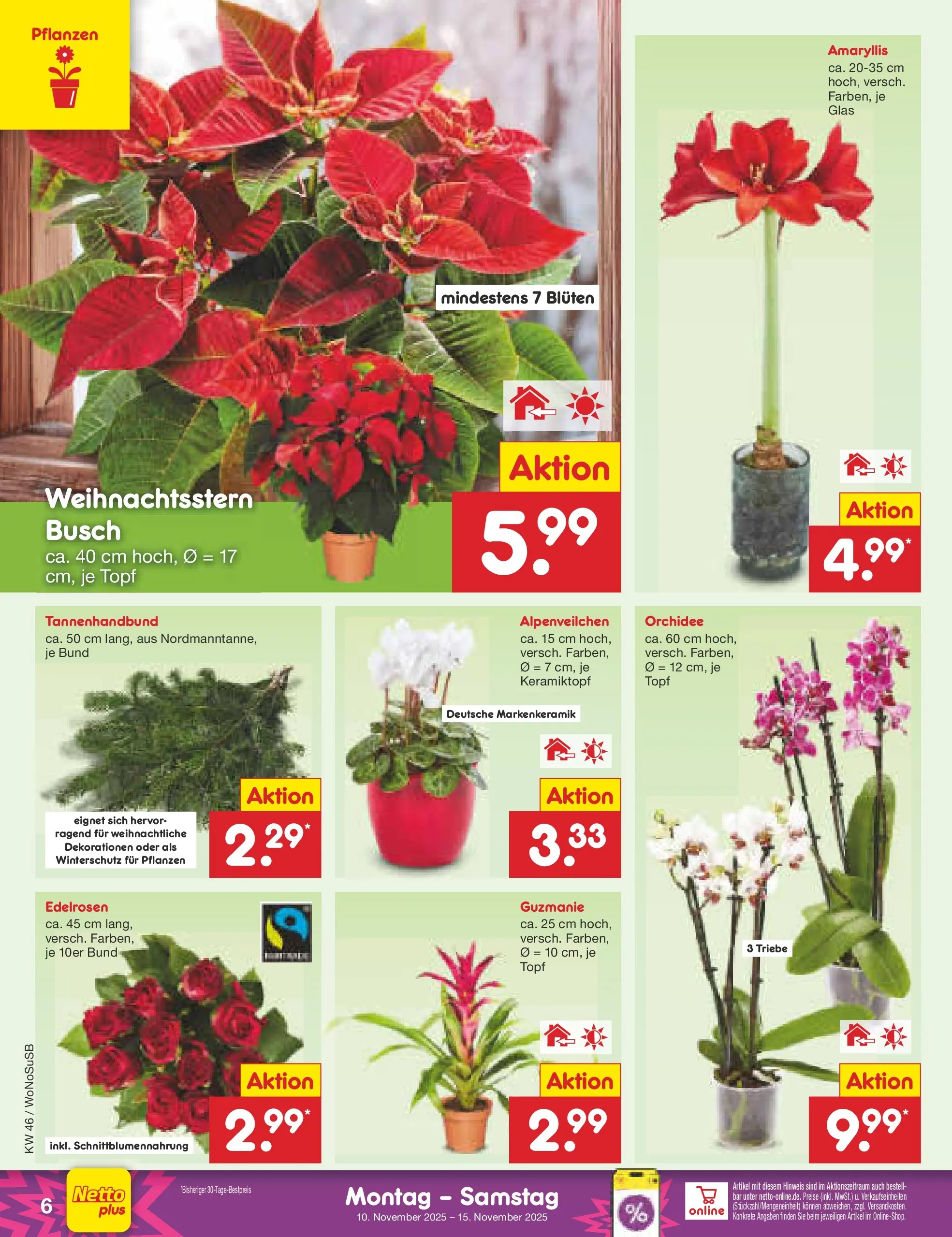 Netto Marken-Discount prospekt Lahnau	 (ab 10.11.2025) » Angebote | Seite: 6 | Produkte: Orchidee