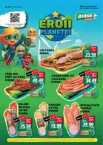 Diana Catalog Diana până în data de 30.11.2025 - până la 30-11-25