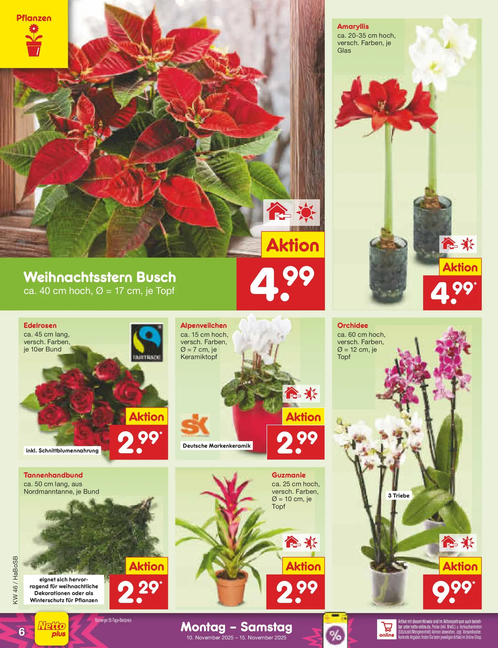 Netto Marken-Discount prospekt Wuppertal	 (ab 10.11.2025) » Angebote | Seite: 6 | Produkte: Orchidee