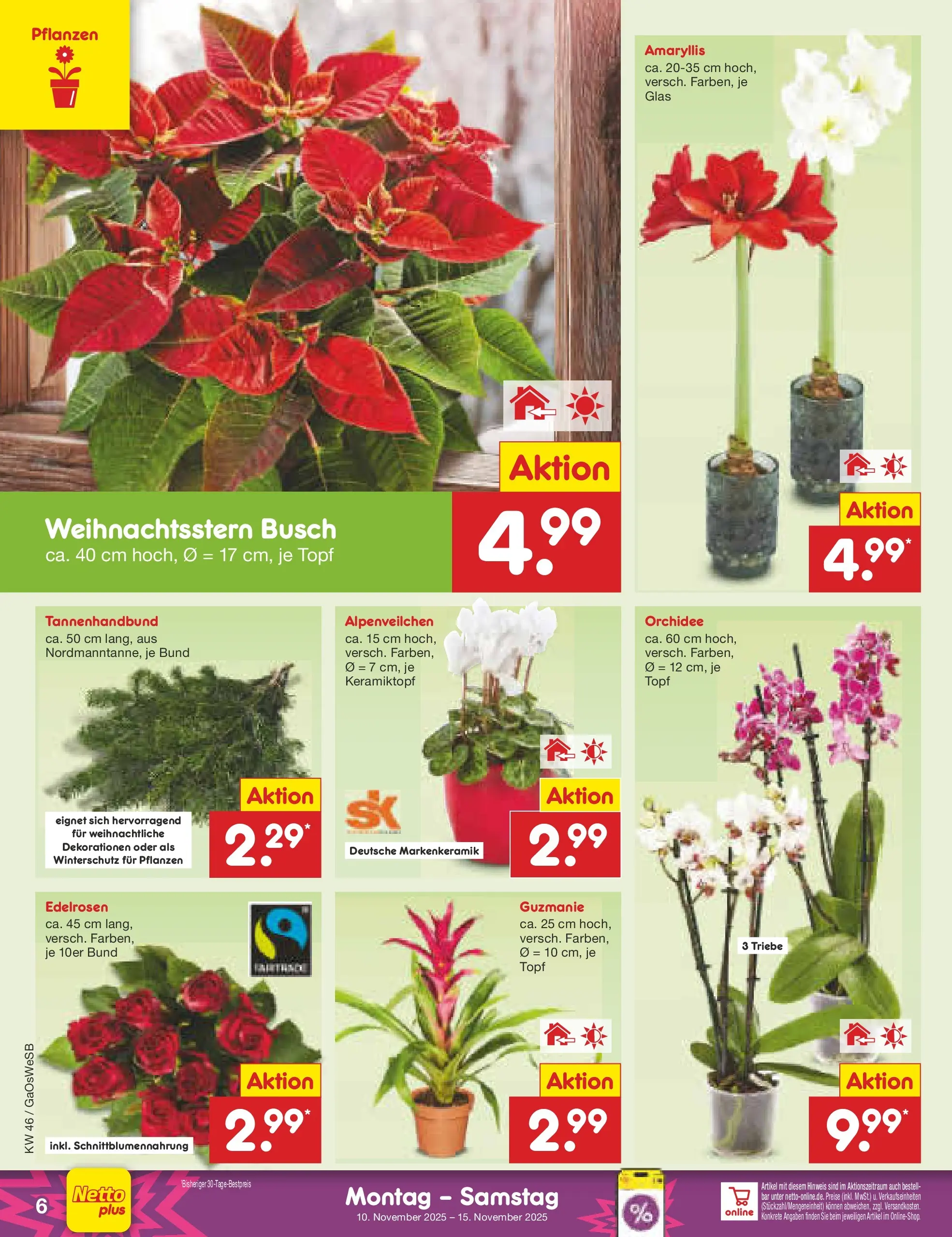 Netto Marken-Discount prospekt Moormerland	 (ab 10.11.2025) » Angebote | Seite: 6 | Produkte: Orchidee