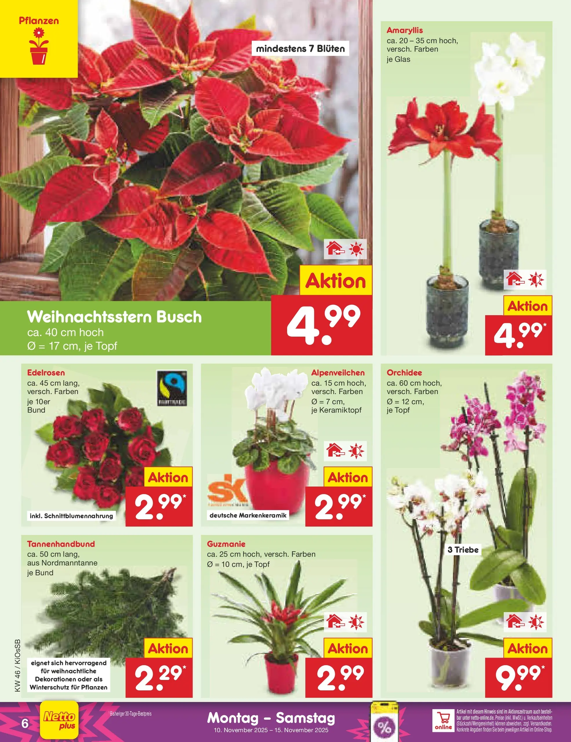 Netto Marken-Discount prospekt Oberhaid	 (ab 10.11.2025) » Angebote | Seite: 6 | Produkte: Orchidee