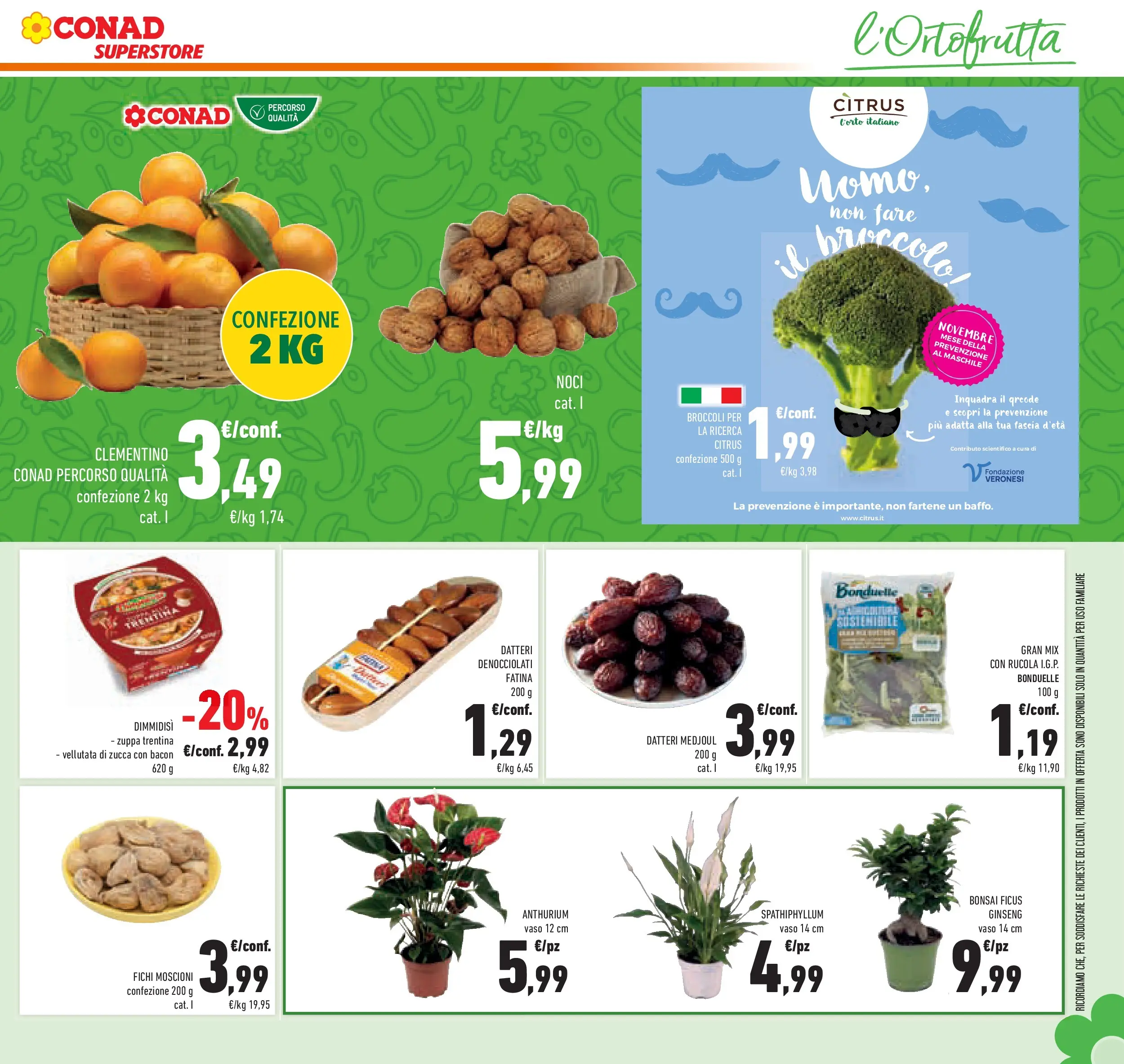 Volantino Conad dal 06/11/2025 > Anteprima | Pagina: 13 | Prodotti: Noci, Zucca, Broccoli, Vaso