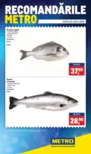 Catalog Metro până în data de 09.11.2025