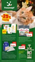 Catalog Fressnapf până în data de 19.11.2025
