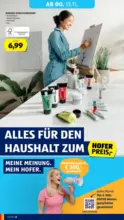 HOFER HOFER: Flugblatt - bis 13.11.2025