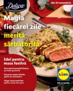 Lidl Catalog Lidl până în data de 31.12.2025 - până la 31-12-25