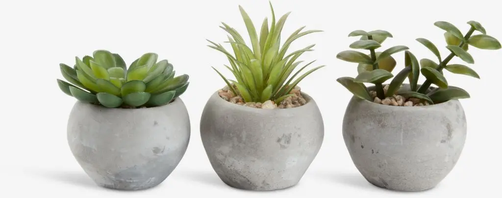 JYSK Изкуствено растение BROR Ø7xВ9 см асорти