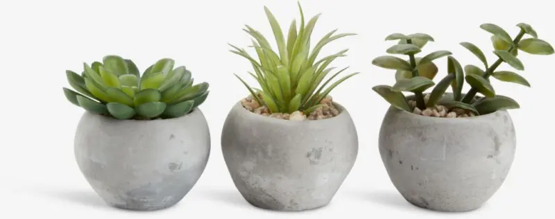 JYSK Изкуствено растение BROR Ø7xВ9 см асорти