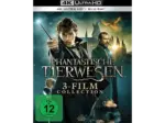 MediaMarkt Dornbirn Messepark Phantastische Tierwesen 3-Film Collection [4K Ultra HD Blu-ray + Blu-ray] - bis 08.11.2025