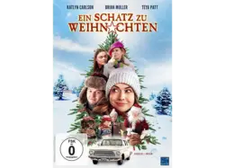 Ein Schatz zu Weihnachten [DVD]