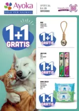 1+1 Gratis
