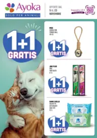 1+1 Gratis