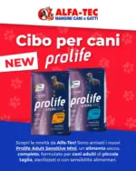 Alfa Tec Offerte speciali per te - al 19.11.2025
