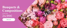 Bouquets de fleurs et compositions florales