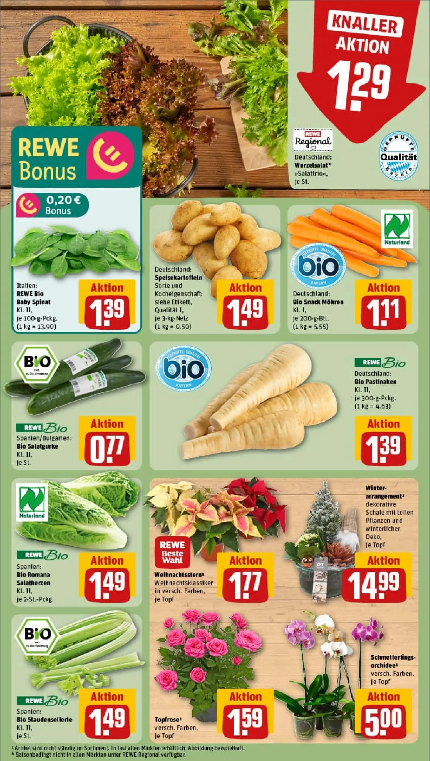 REWE Prospekt ab 09.11.2025 zum Blättern » Angebote | Seite: 11 | Produkte: Orchidee, Mohren
