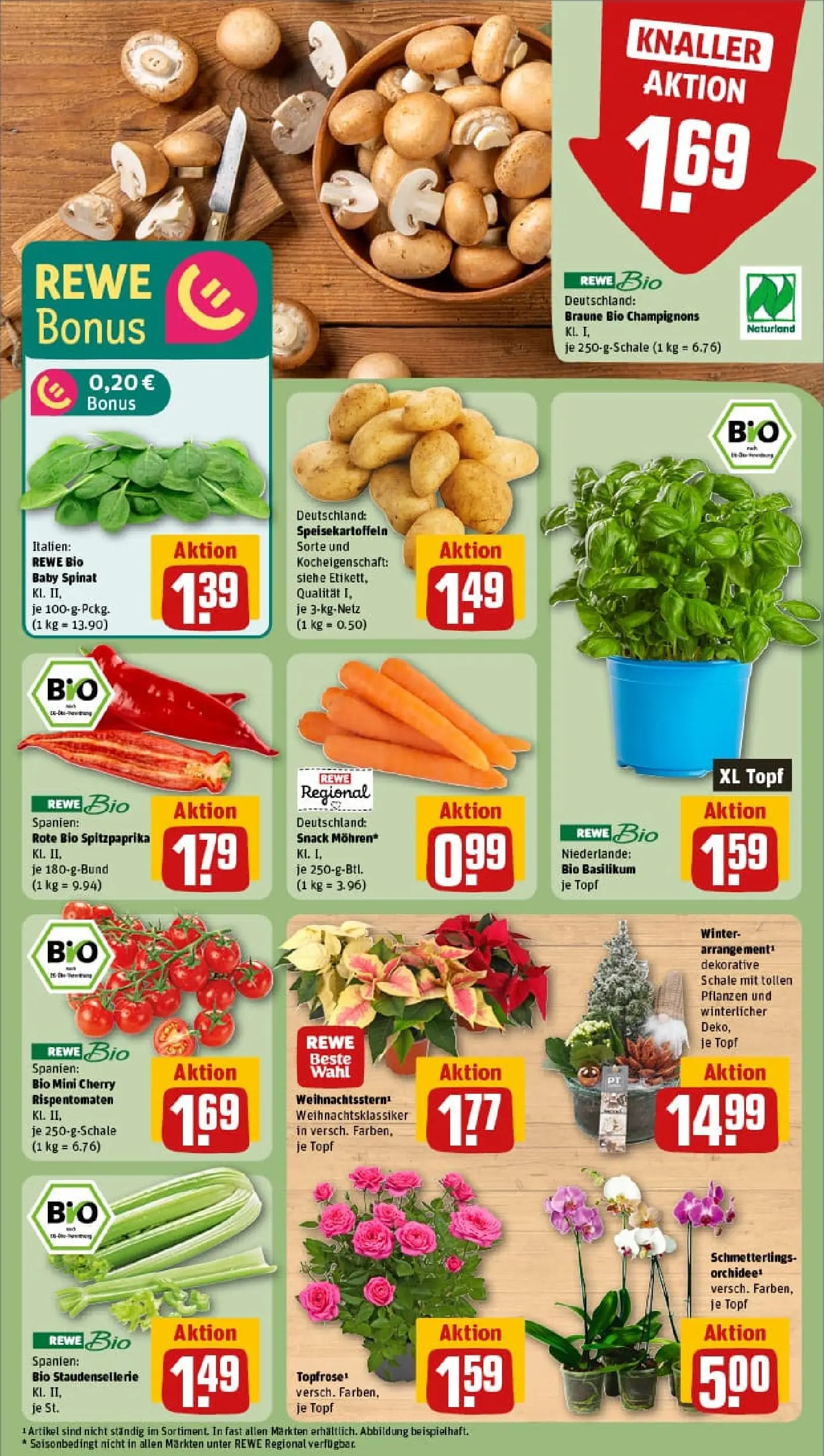 REWE Prospekt ab 10.11.2025 zum Blättern » Angebote | Seite: 7 | Produkte: Orchidee, Champignons