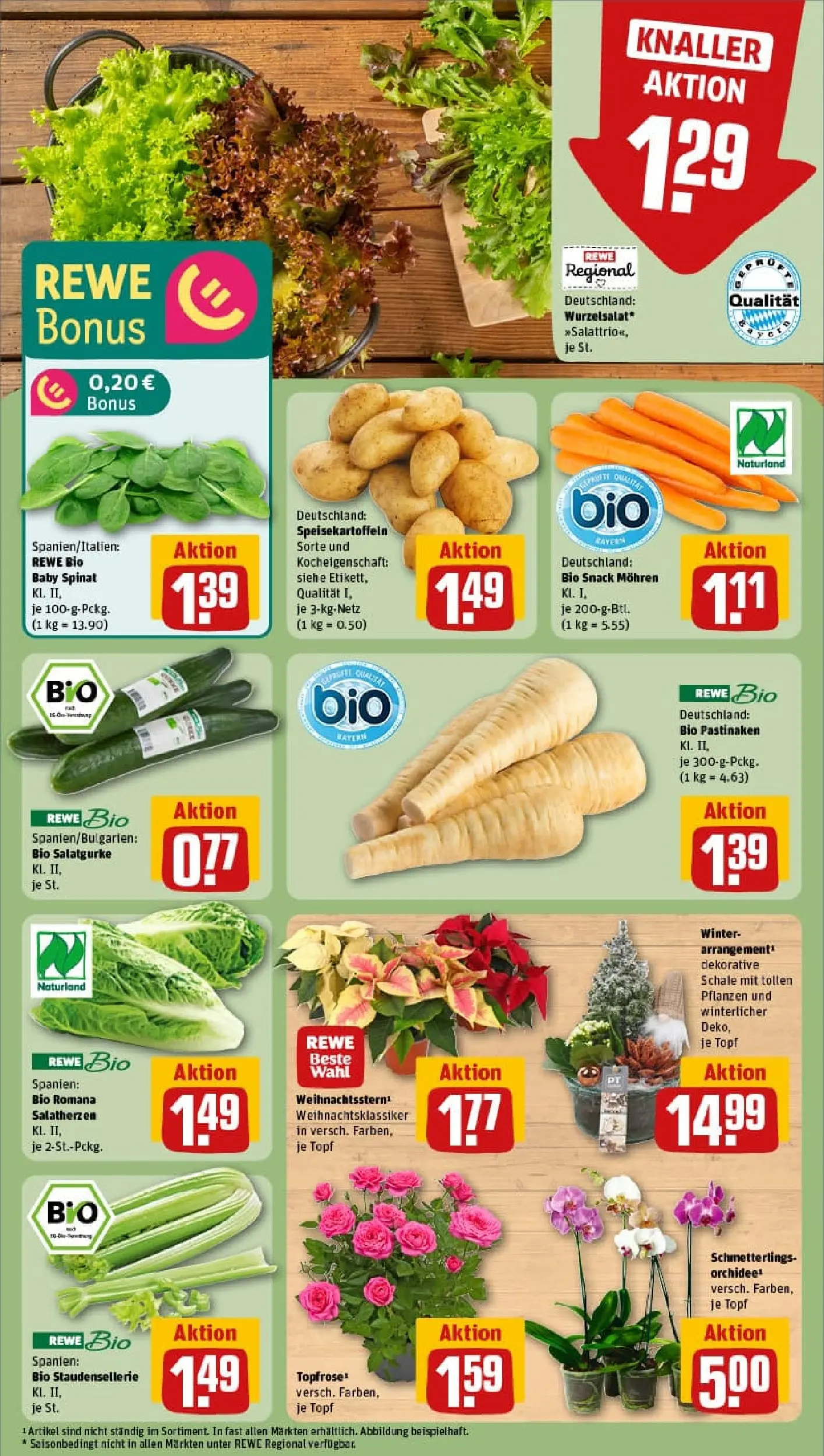 REWE Prospekt ab 10.11.2025 zum Blättern » Angebote | Seite: 7 | Produkte: Orchidee, Mohren