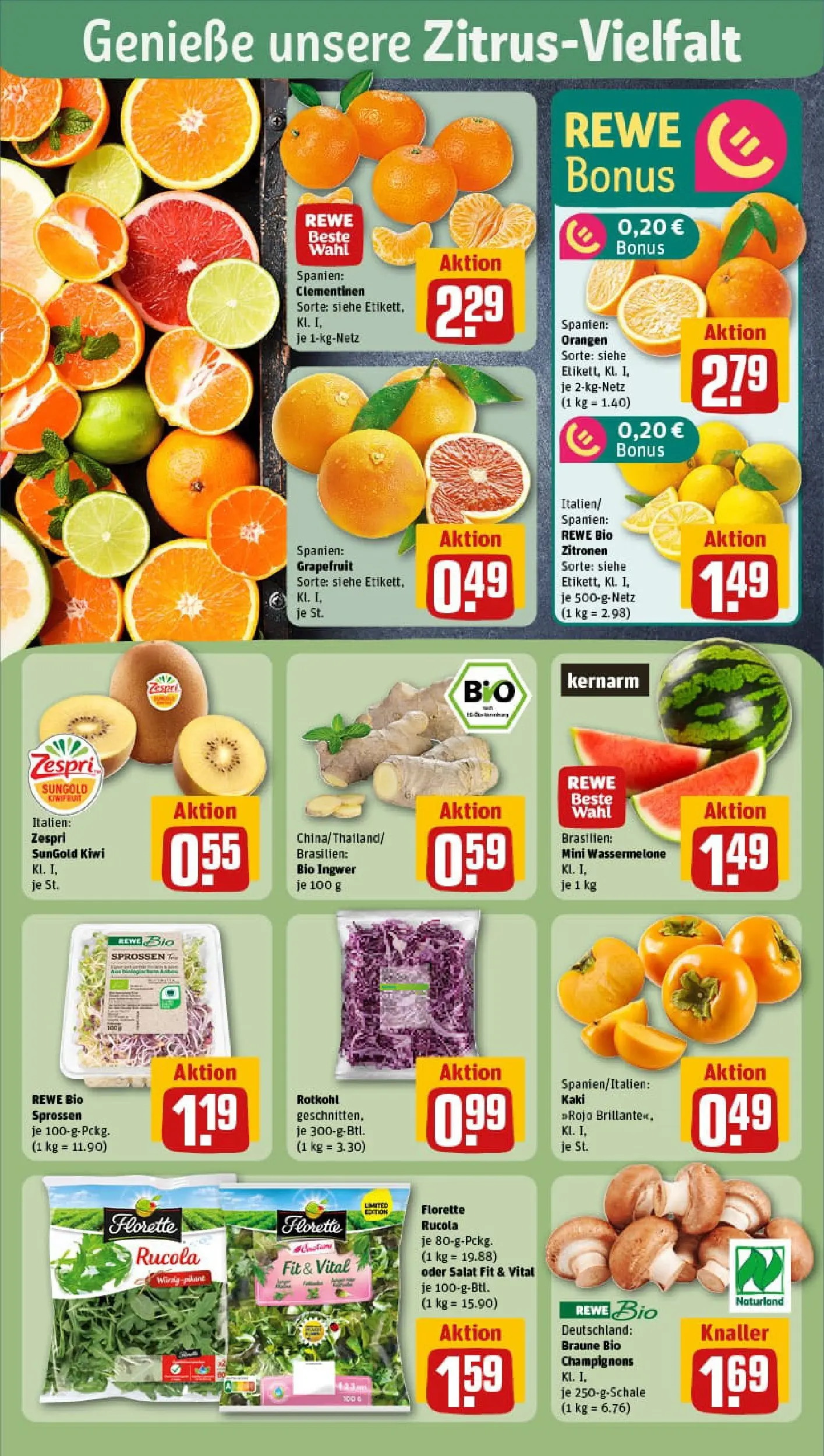 REWE Prospekt ab 09.11.2025 zum Blättern » Angebote | Seite: 6 | Produkte: Champignons, Wassermelone, Kiwi, Salat