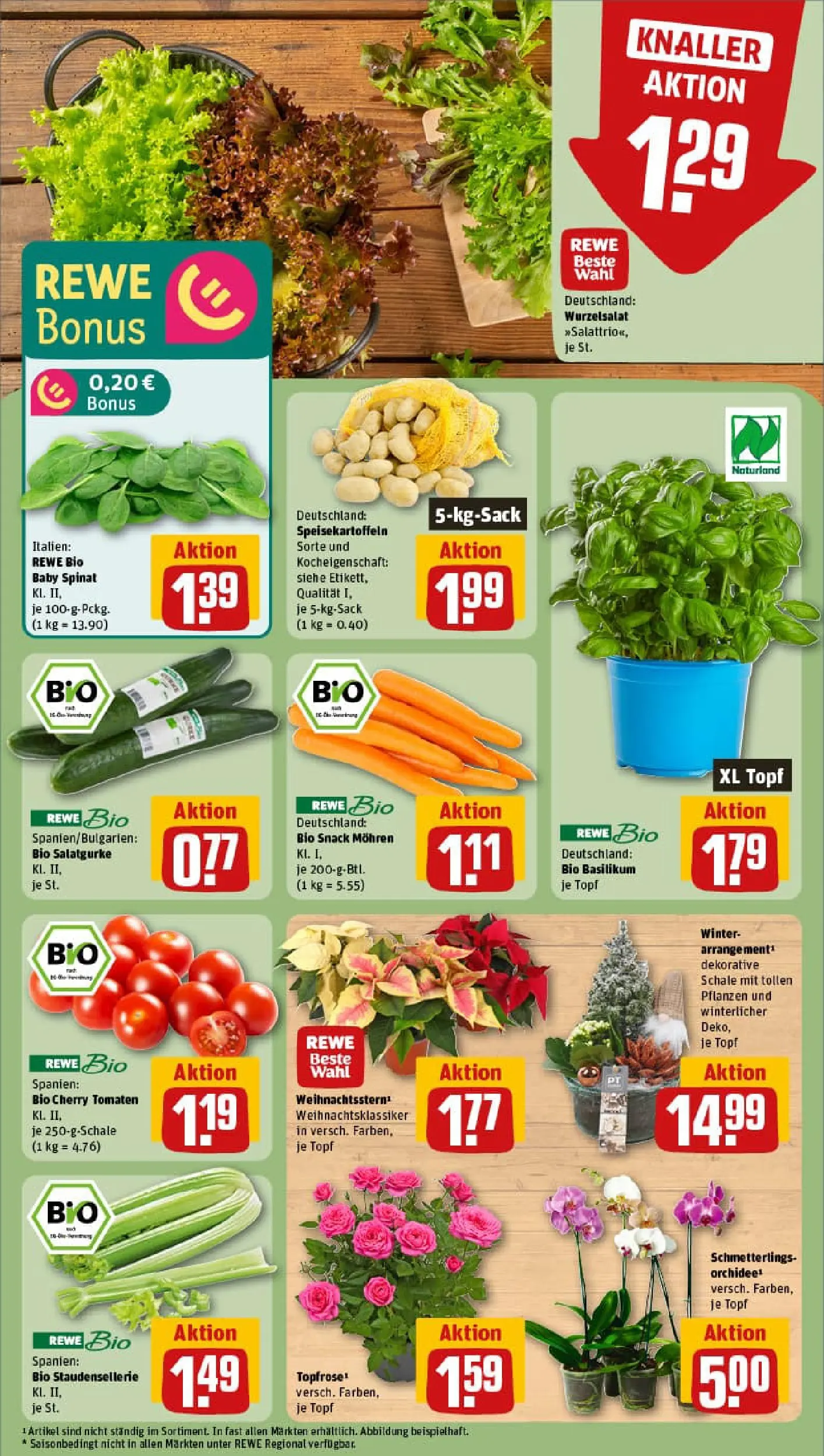 REWE Prospekt ab 09.11.2025 zum Blättern » Angebote | Seite: 7 | Produkte: Orchidee, Tomaten, Mohren