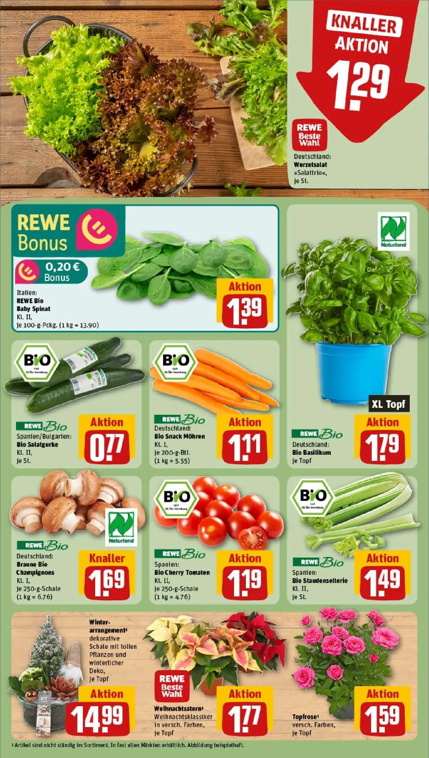 REWE Prospekt ab 10.11.2025 zum Blättern » Angebote | Seite: 7 | Produkte: Tomaten, Mohren, Champignons