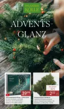 Pflanzen-Kölle: Adventsglanz
