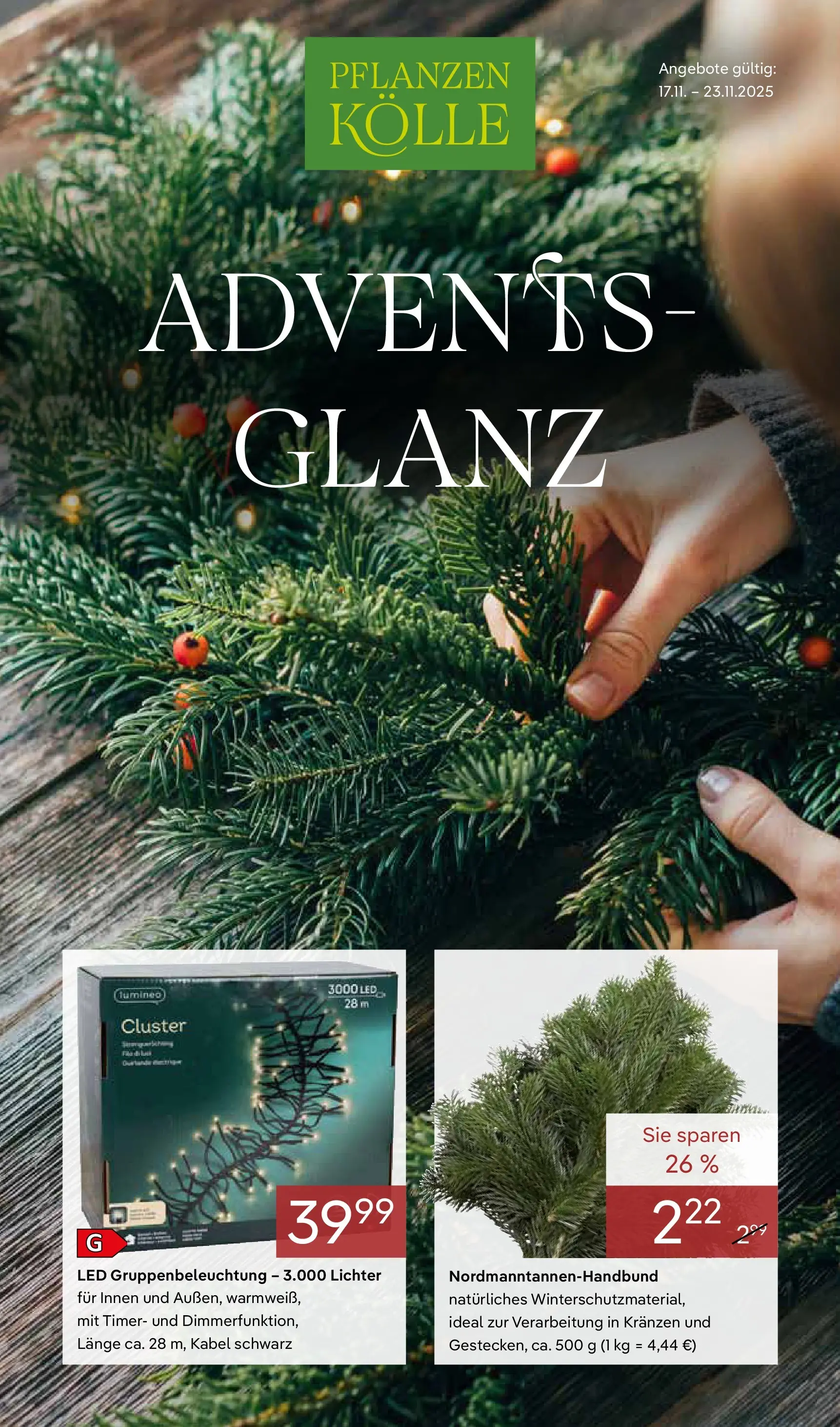 Pflanzen-Kölle - Pflanzen-Kölle: Adventsglanz (ab 17.11.2025) zum Blättern | Seite: 1 | Produkte: Kabel