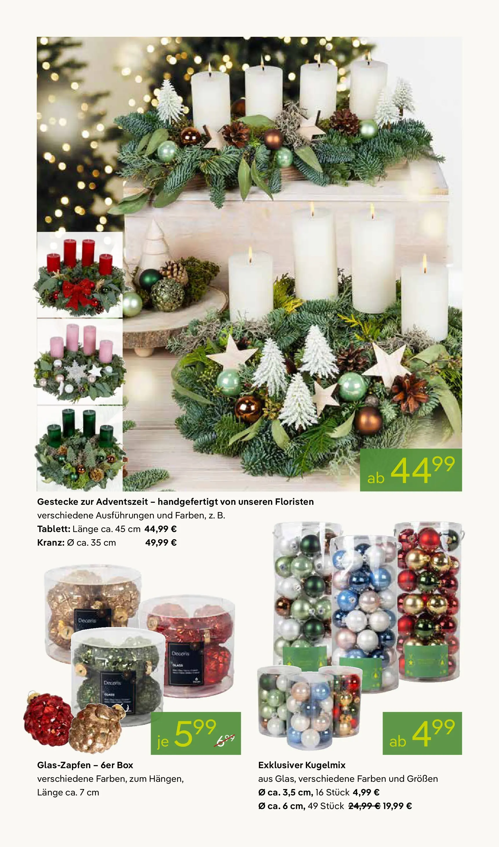 Pflanzen-Kölle - Pflanzen-Kölle: Adventsglanz (ab 17.11.2025) zum Blättern | Seite: 4 | Produkte: Box