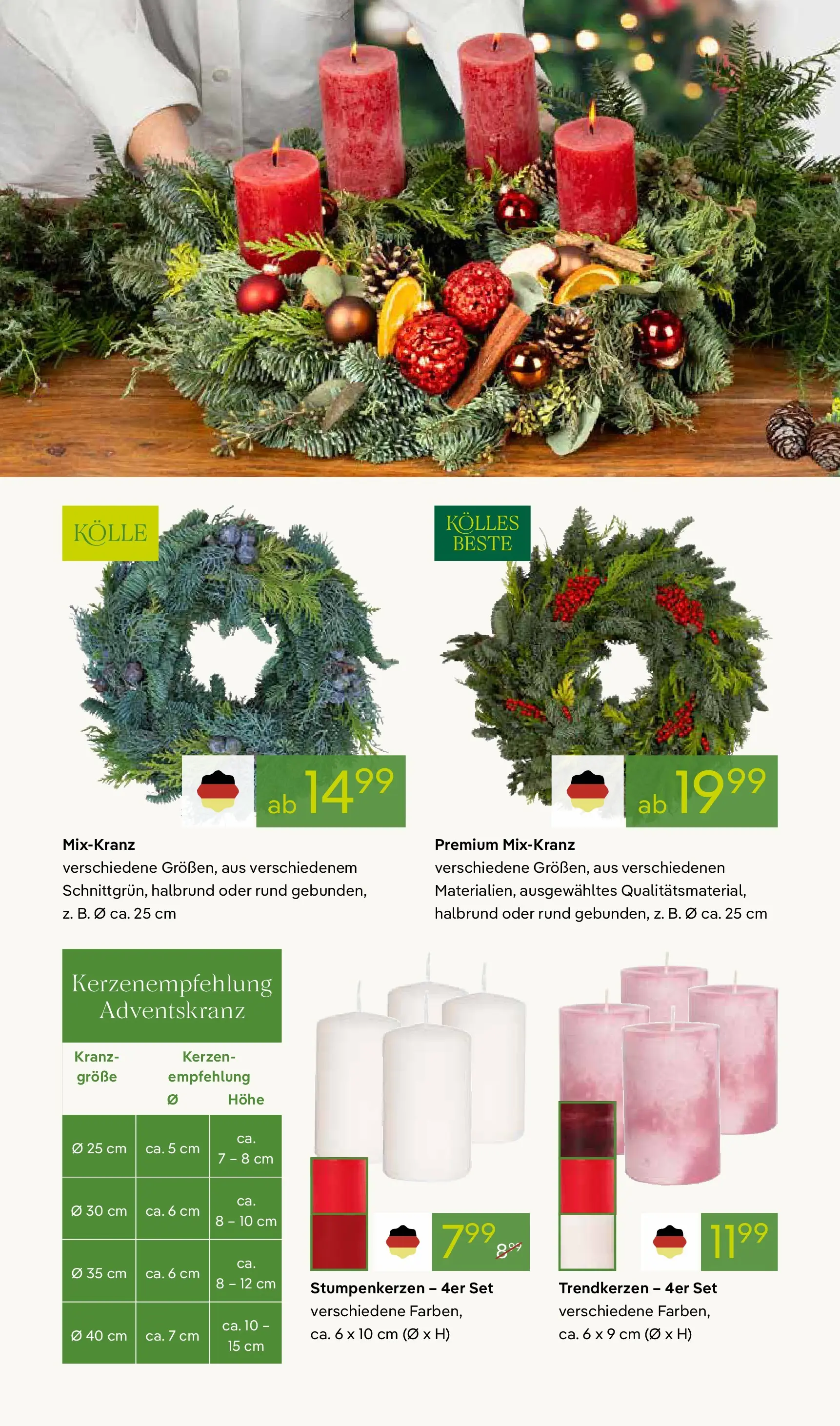 Pflanzen-Kölle - Pflanzen-Kölle: Adventsglanz (ab 17.11.2025) zum Blättern | Seite: 6