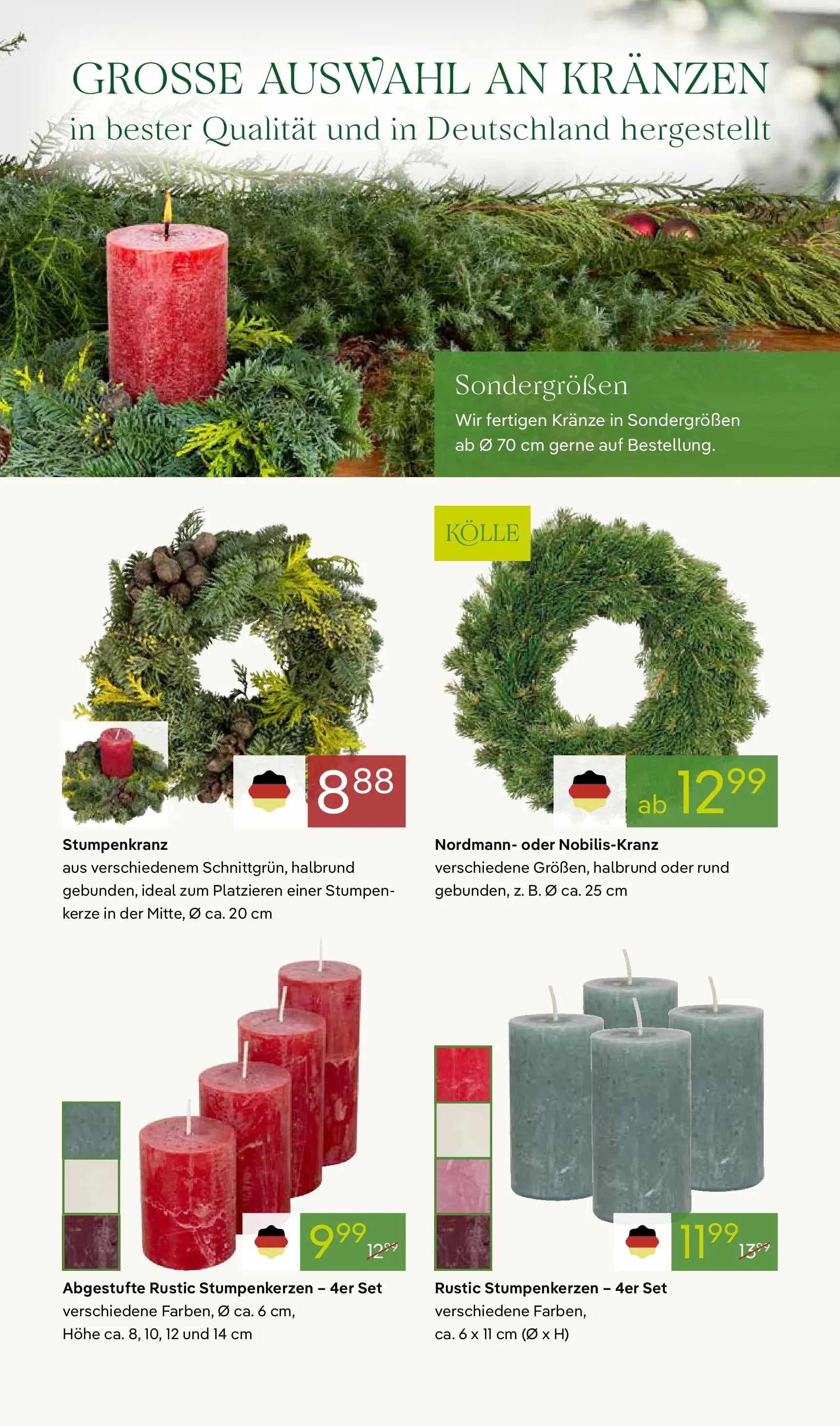 Pflanzen-Kölle - Pflanzen-Kölle: Adventsglanz (ab 17.11.2025) zum Blättern | Seite: 7