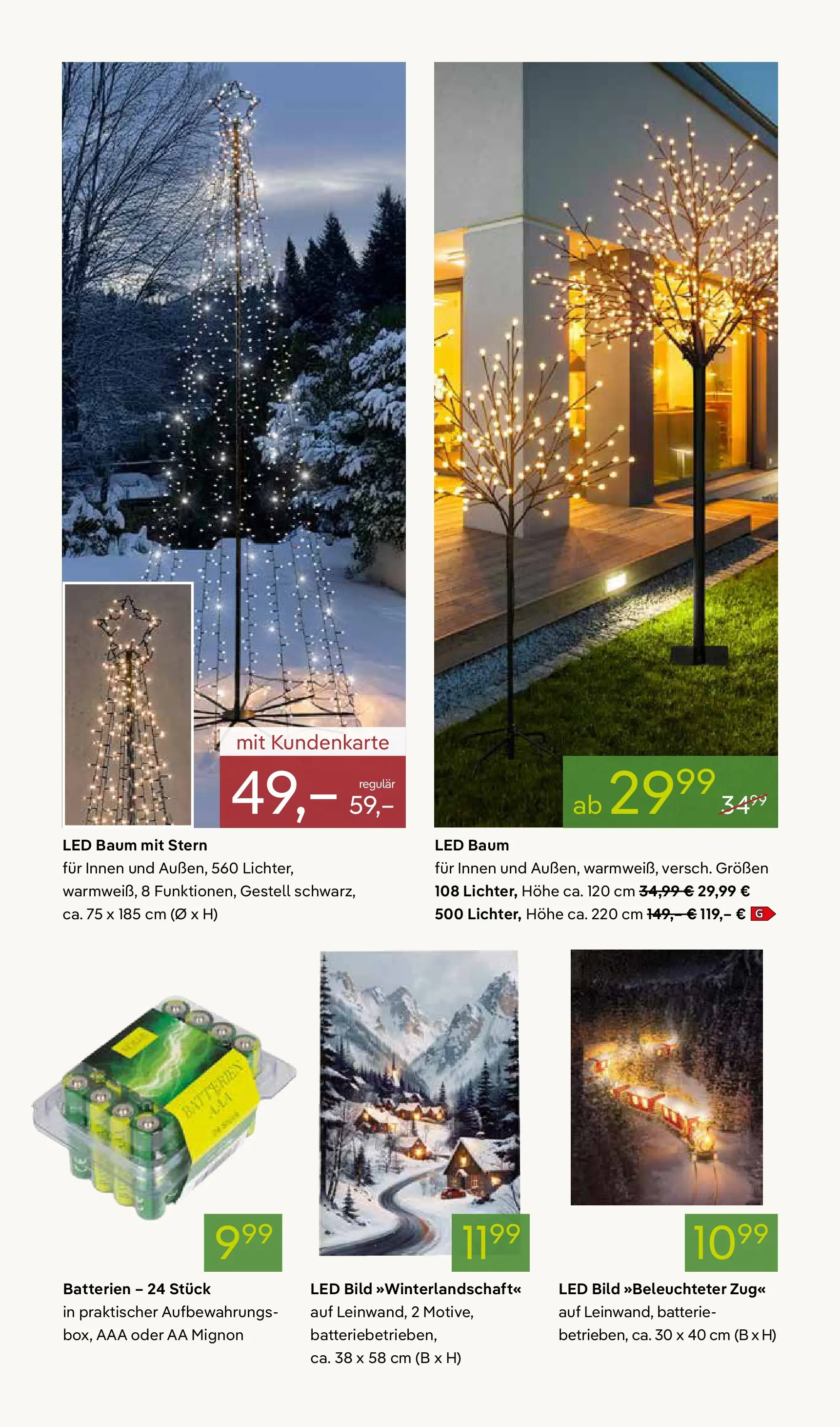 Pflanzen-Kölle - Pflanzen-Kölle: Adventsglanz (ab 17.11.2025) zum Blättern | Seite: 12 | Produkte: Batterien, Batterie