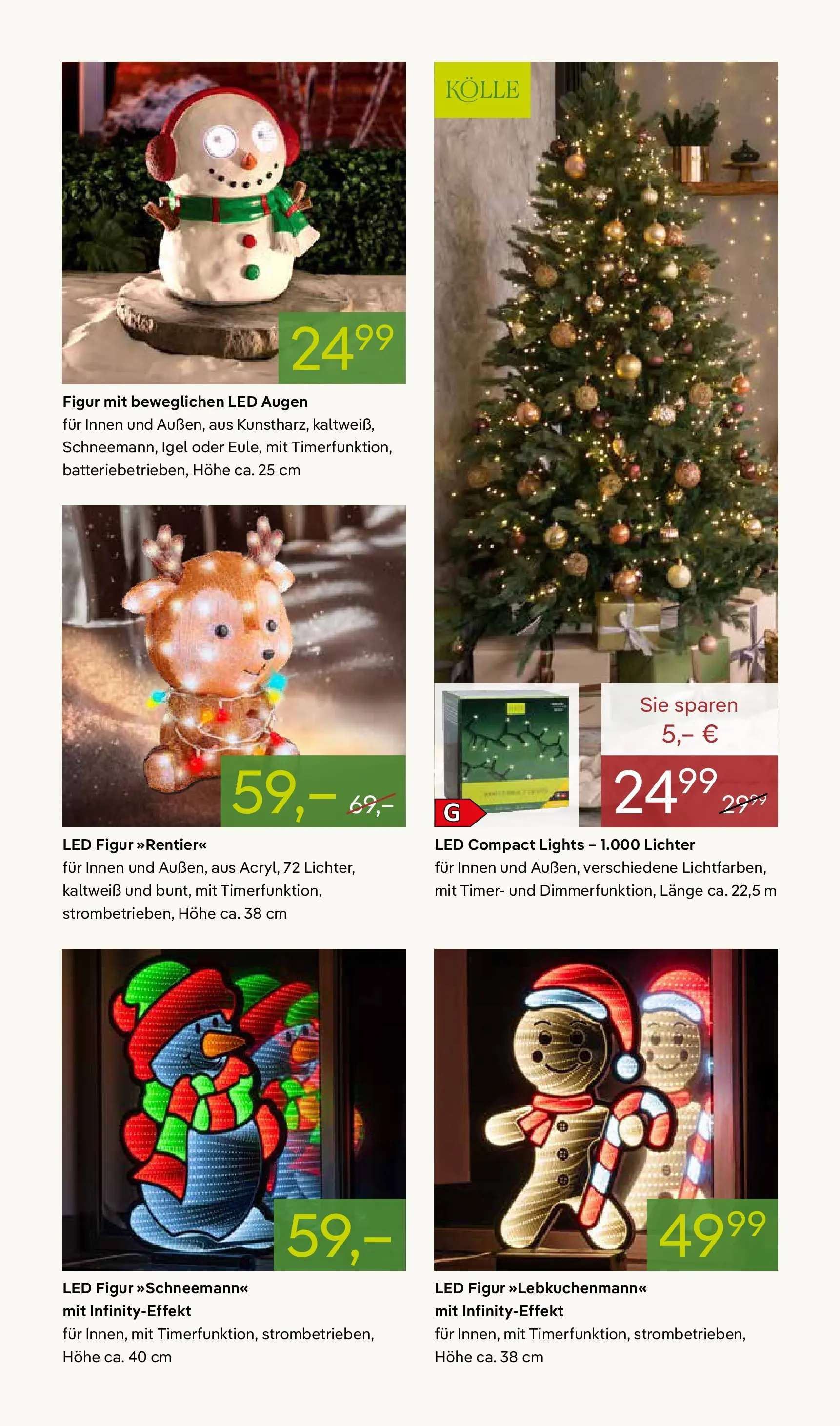 Pflanzen-Kölle - Pflanzen-Kölle: Adventsglanz (ab 17.11.2025) zum Blättern | Seite: 13