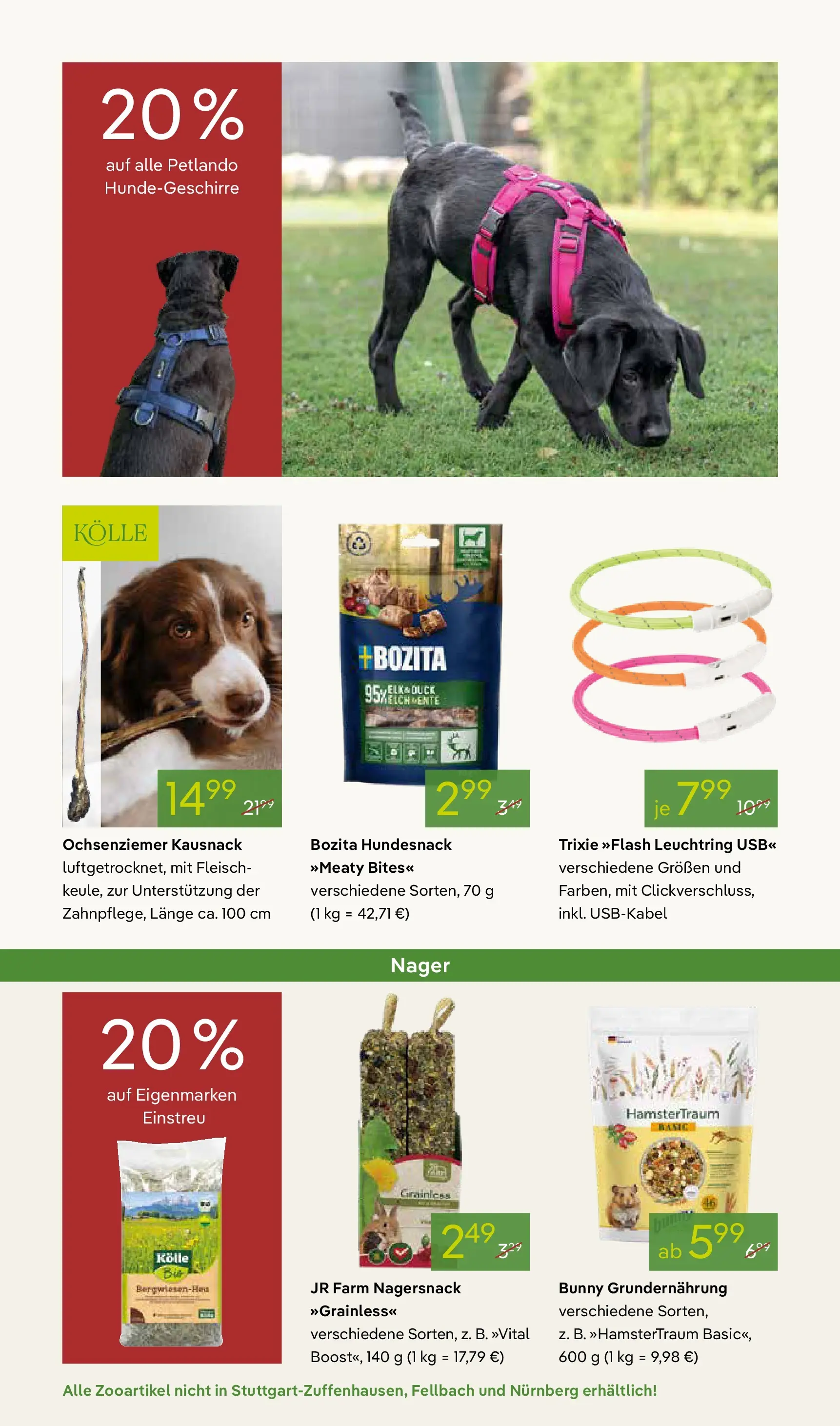 Pflanzen-Kölle - Pflanzen-Kölle: Adventsglanz (ab 17.11.2025) zum Blättern | Seite: 14 | Produkte: USB, Fleisch