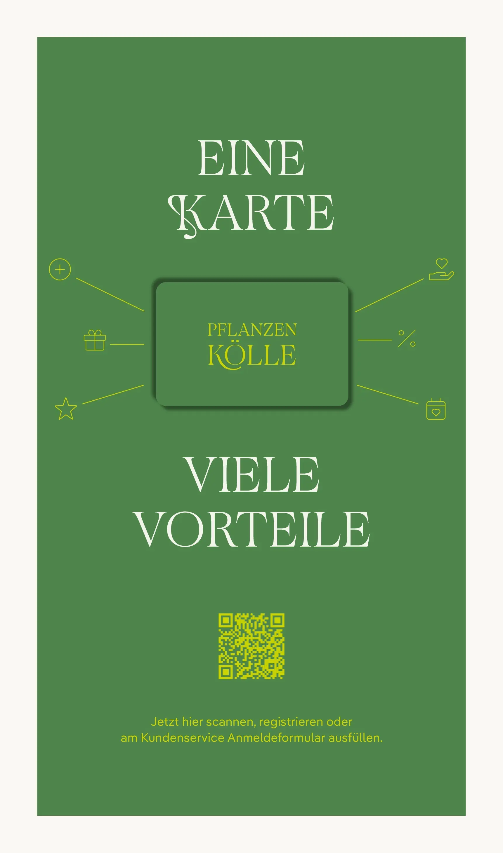 Pflanzen-Kölle - Pflanzen-Kölle: Adventsglanz (ab 17.11.2025) zum Blättern | Seite: 17