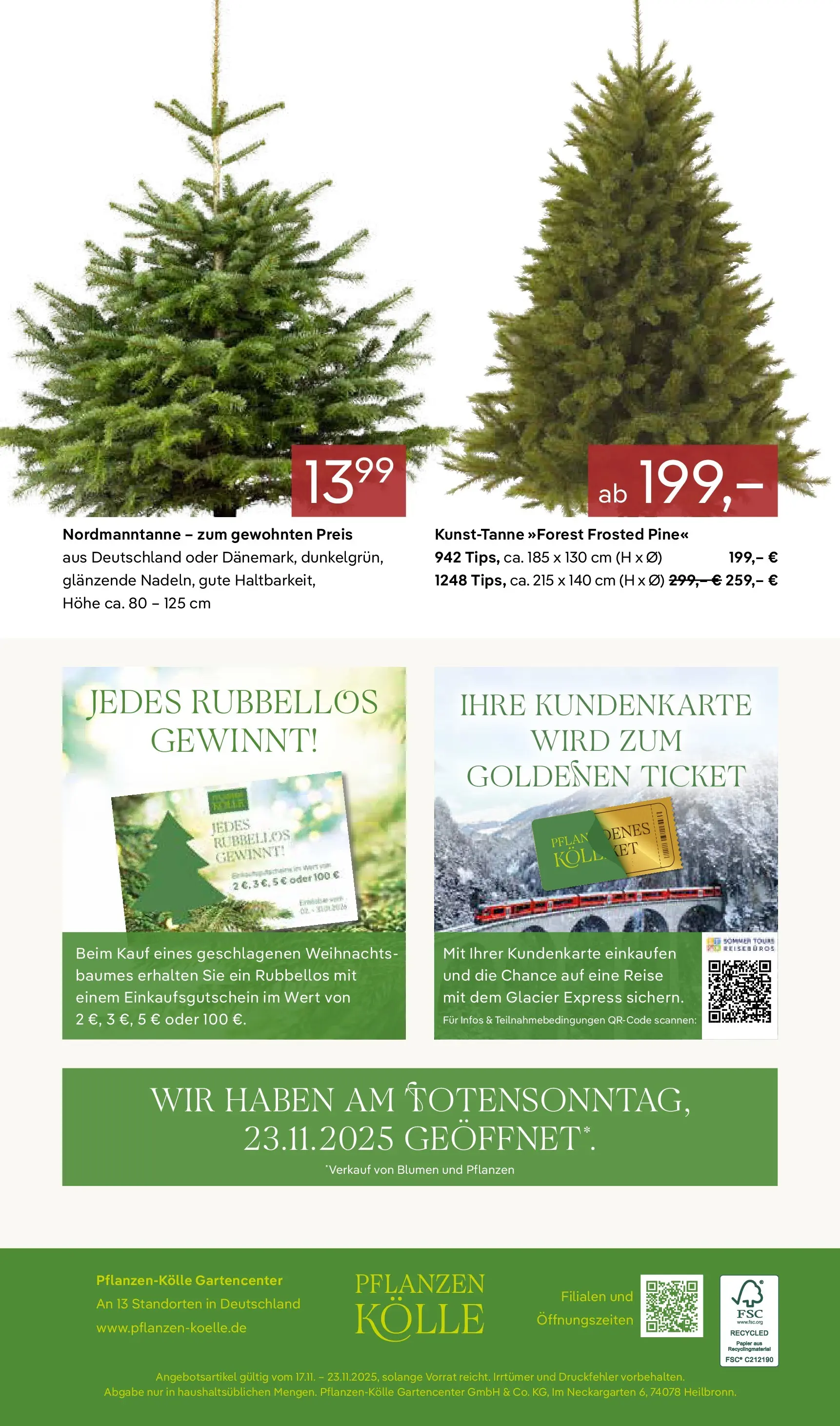 Pflanzen-Kölle - Pflanzen-Kölle: Adventsglanz (ab 17.11.2025) zum Blättern | Seite: 18 | Produkte: Blumen