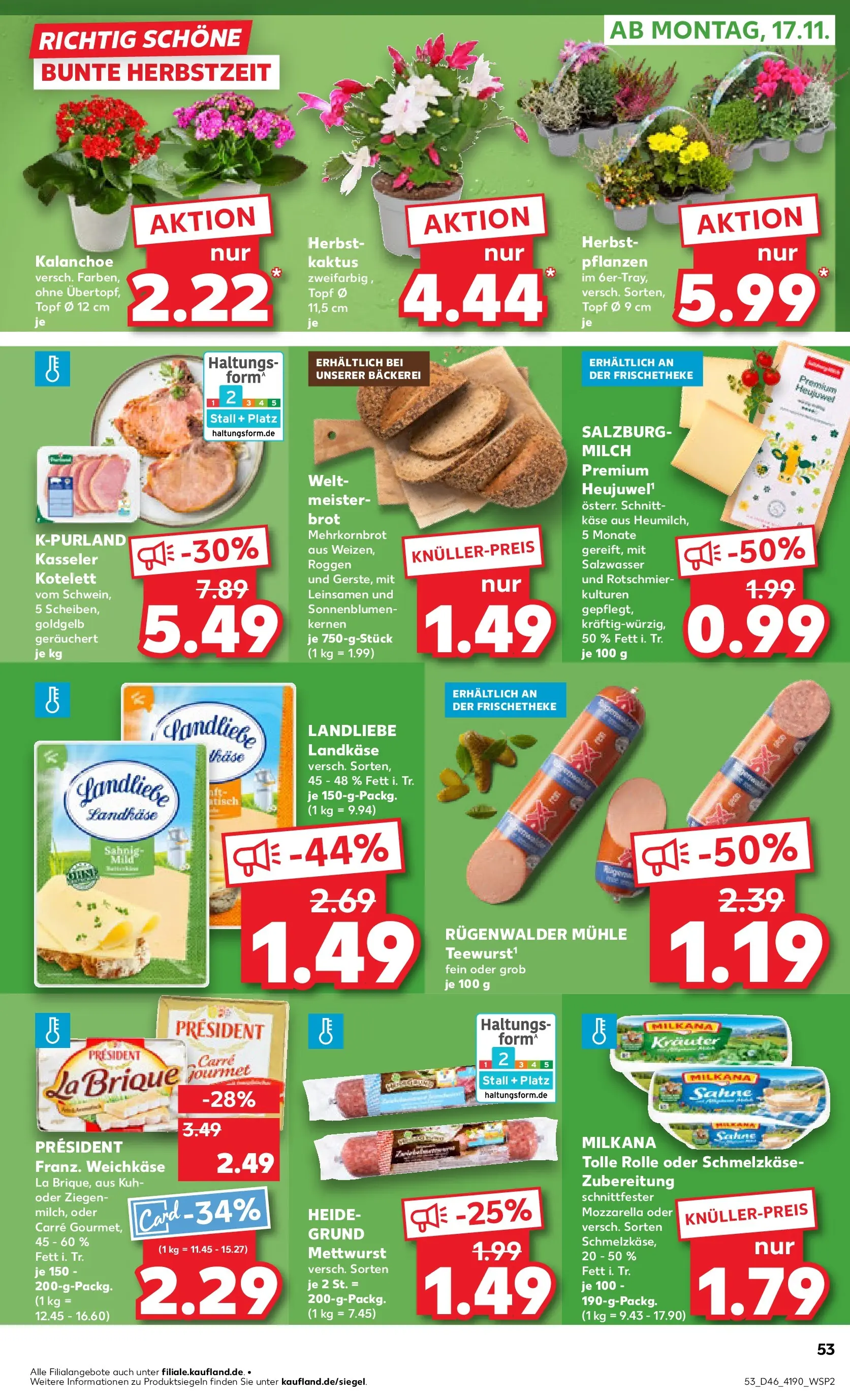 Prospekt Kaufland ab 13.11.2025 » Angebote Online zum Blättern | Seite: 53 | Produkte: Bäckerei, Milkana, Tisch, Brot