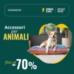 Kasanova Accessori per animali - al 13.11.2025
