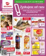 Oferta dla profesjonalistów Selgros – do 19.11.2025