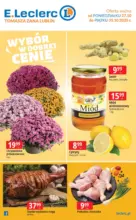 Specjalne oferty dla Ciebie