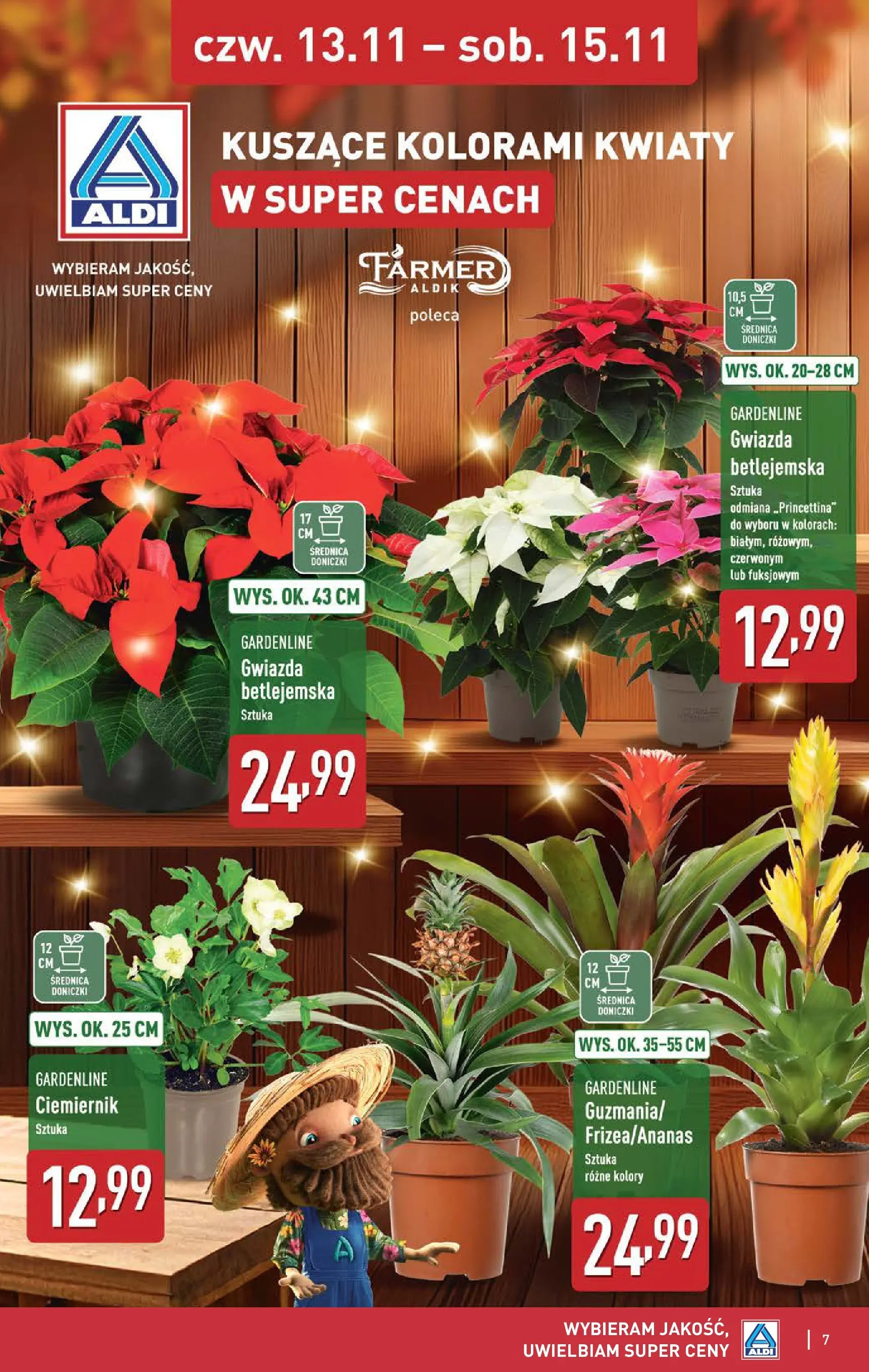 Aldi Gazetka - Okazje na weekend od 13.11.2025 - Ulotka PDF, promocje | Strona: 7 | Produkty: Doniczki, Kwiaty