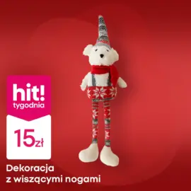 Szeroki wybór ofert