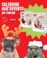 Iper Animal Offerte Iper Animal - al 24.12.2025