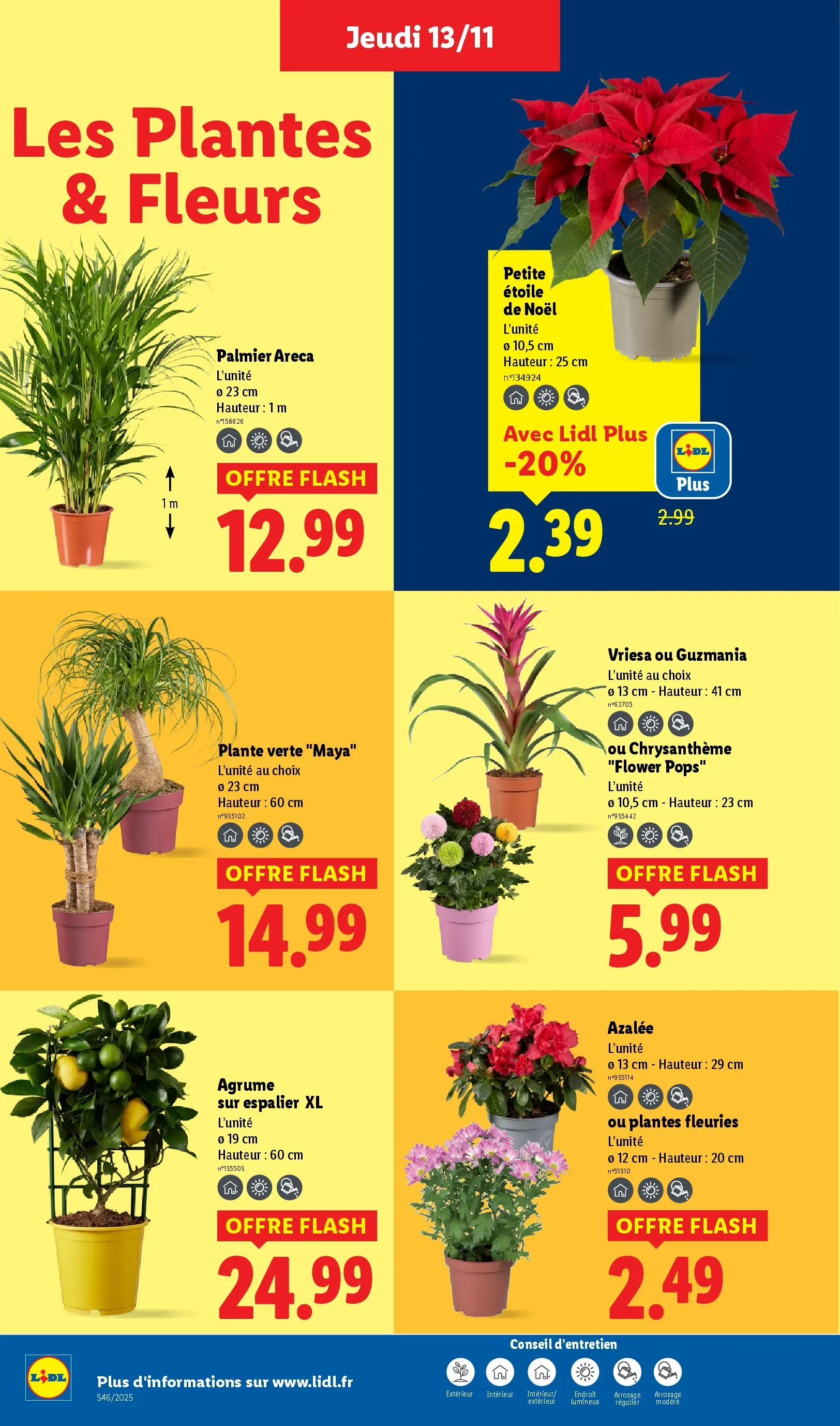 Catalogue LIDL du 09/11/2025 | Promo prospectus en ligne | Page: 36 Catalogue LIDL du 09/11/2025 | Promo prospectus en ligne | Page: 36