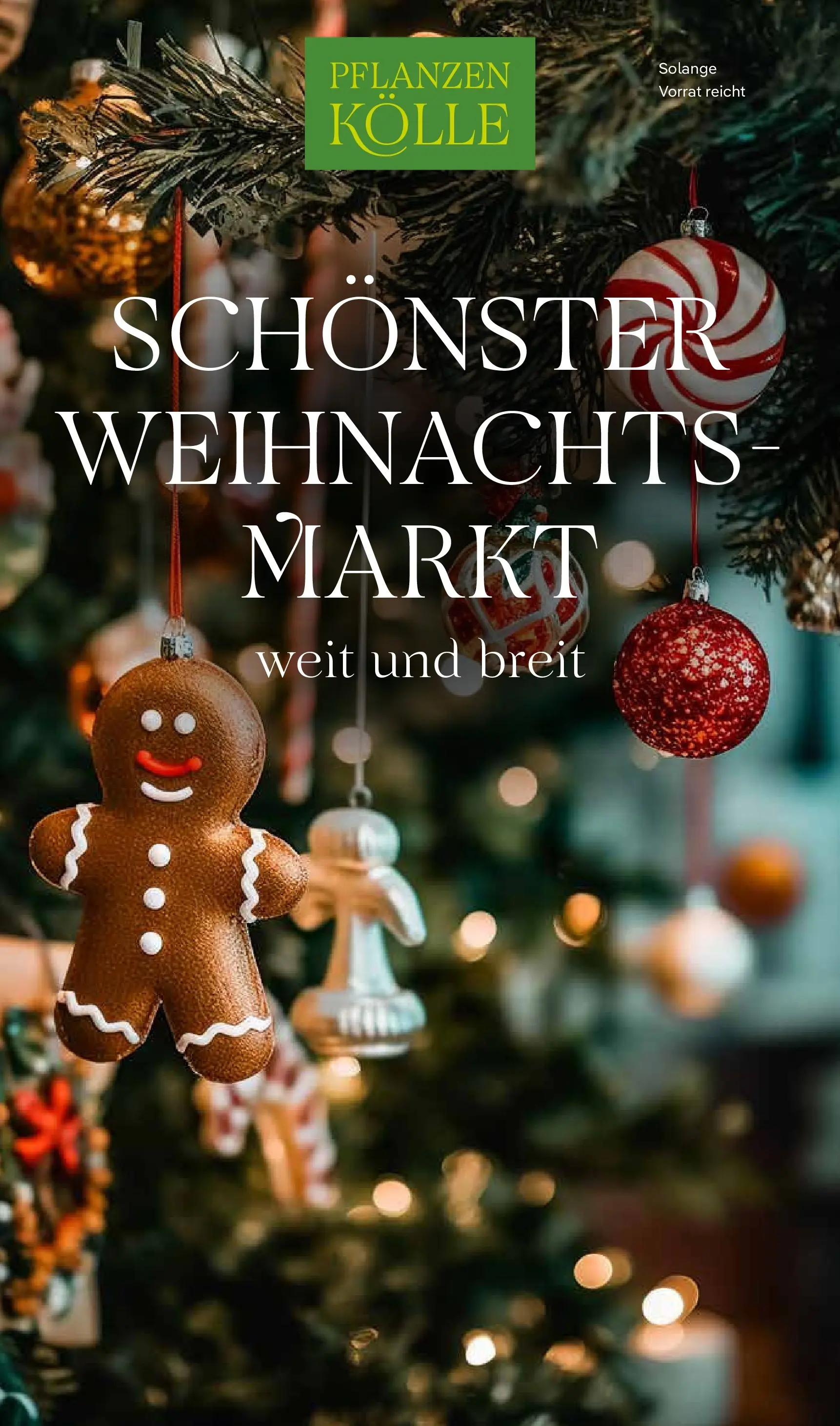 Pflanzen-Kölle - Pflanzen-Kölle: Schönster Weihnachtsmarkt (ab 10.11.2025) zum Blättern | Seite: 1