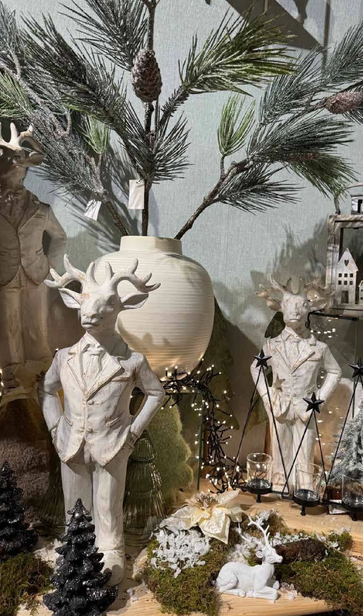 Pflanzen-Kölle - Pflanzen-Kölle: Schönster Weihnachtsmarkt (ab 10.11.2025) zum Blättern | Seite: 4