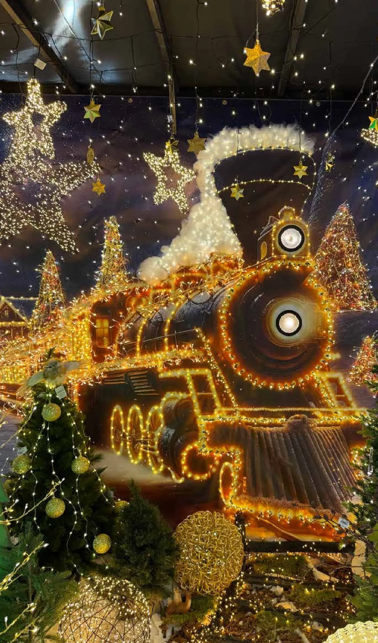 Pflanzen-Kölle - Pflanzen-Kölle: Schönster Weihnachtsmarkt (ab 10.11.2025) zum Blättern | Seite: 14