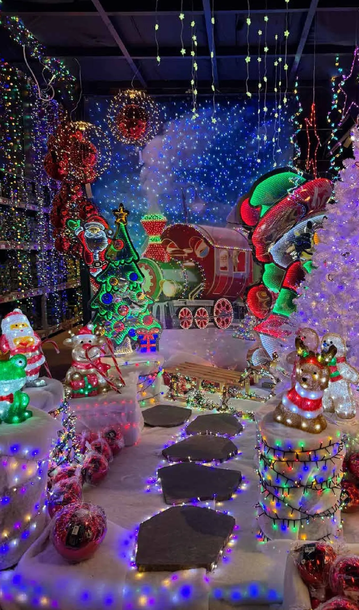 Pflanzen-Kölle - Pflanzen-Kölle: Schönster Weihnachtsmarkt (ab 10.11.2025) zum Blättern | Seite: 18