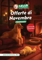 Lillo e i Vagabondi f6d8ab01 efee 4278 9f10 8c032f8f74dd VolantinoNovembre25 Web - al 28.11.2025