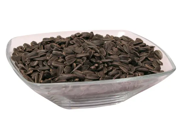 Schwarze Sonnenblumenkerne in Schale, ungeröstet /lose